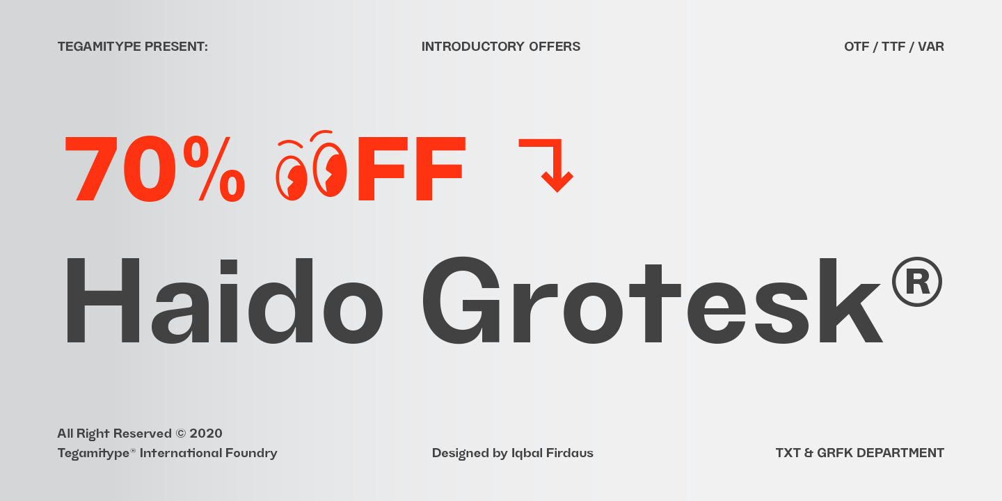 Beispiel einer TG Haido Grotesk Light Italic-Schriftart